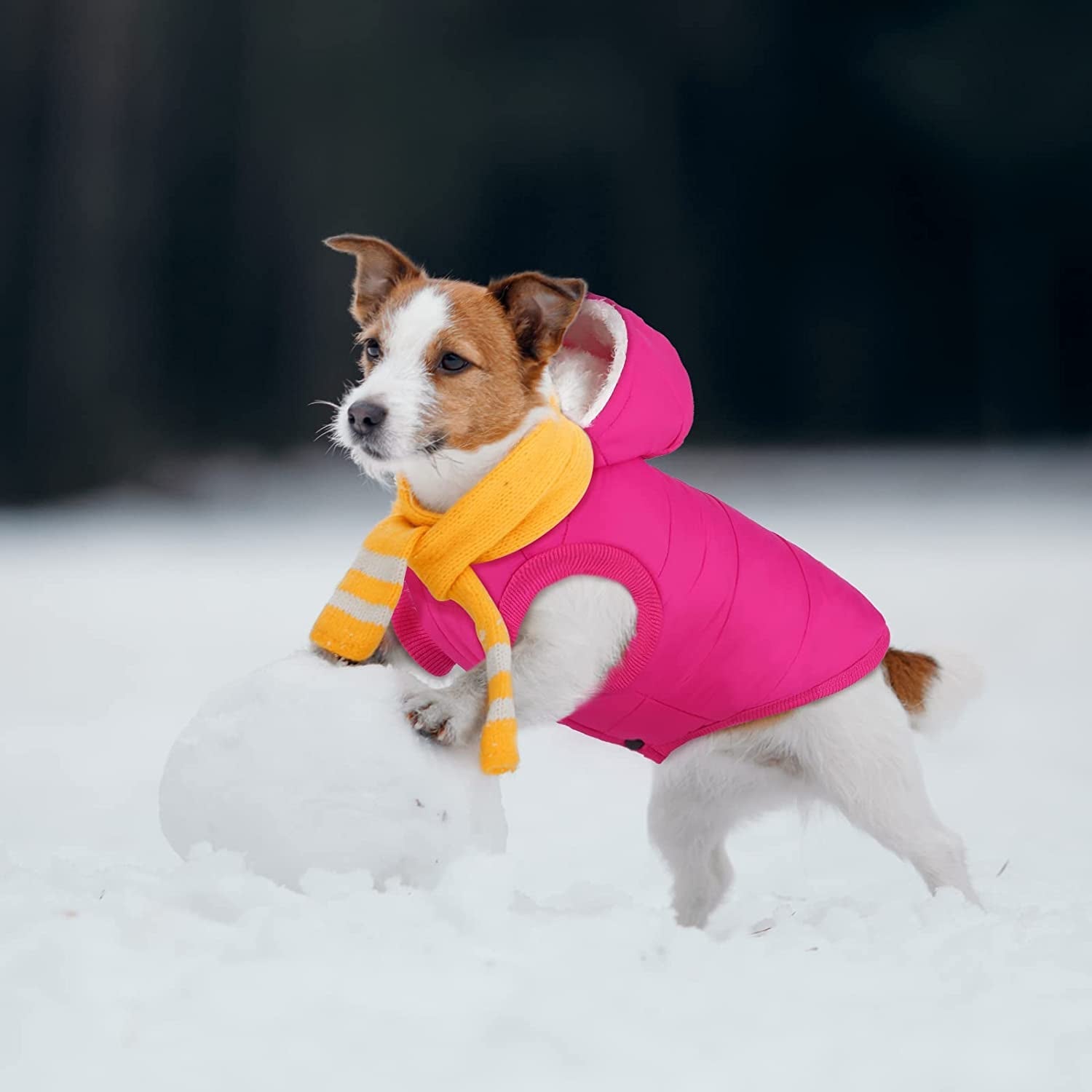 2 Pieces Fleece Lined Warm Dog Jacket Warm Dog Hoodie Puppy Coats with Hooded Cold Weather Pet Apparel Clothes for Puppy Winter Cold Weather, Large (Pink, Red) - Funsho.store