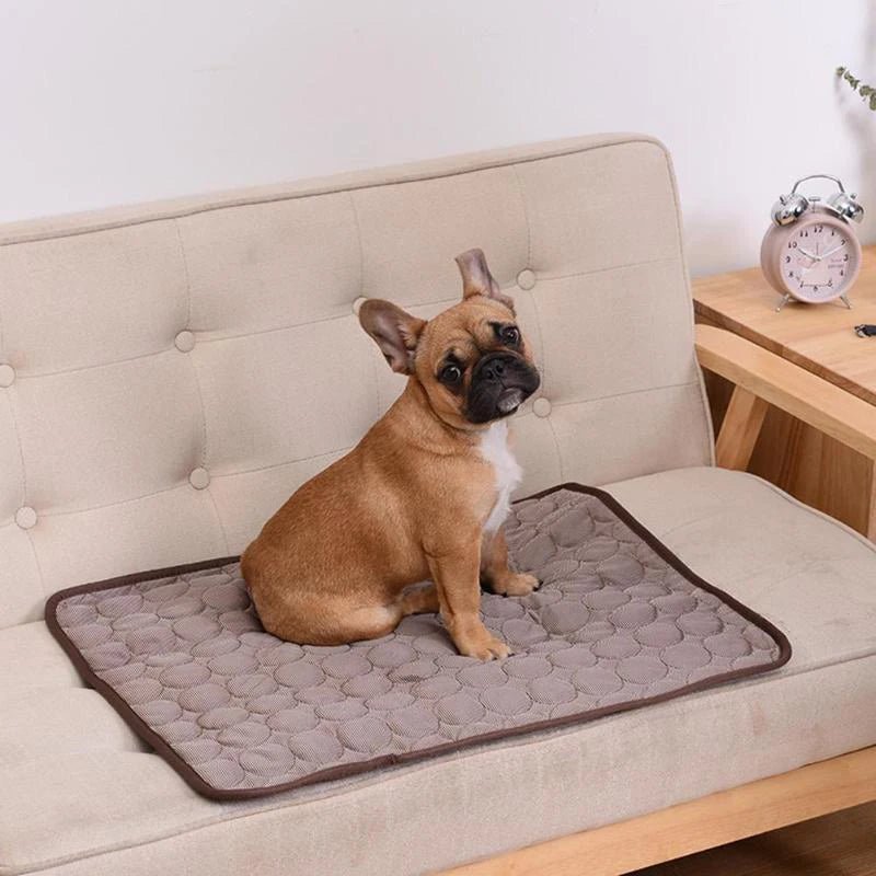 Dog Cooling Mat Extra Large Summer Pet Cold Bed for Small Big Dogs Cat Durable Blanket Sofa Cat Ice Pad Blanket Pet Accessories - Funsho.store