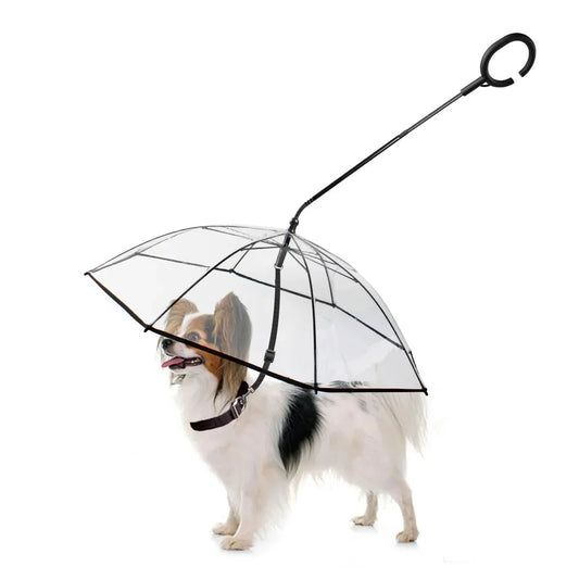 Dog Umbrella - Funsho.store