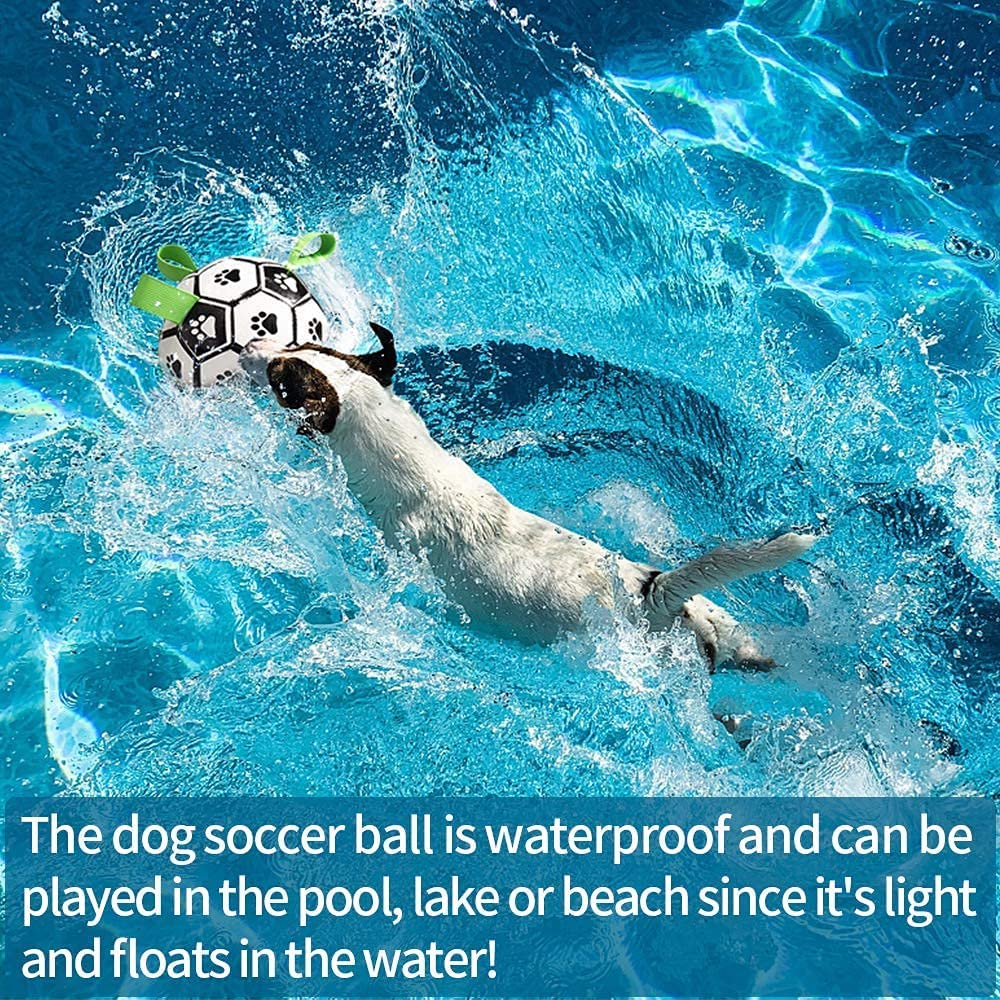 Interactive Dog Football Toy Soccer Ball Inflated Training Toy For Dogs Outdoor Border Collie Balls For Large Dogs Pet Supplies - Funsho.store