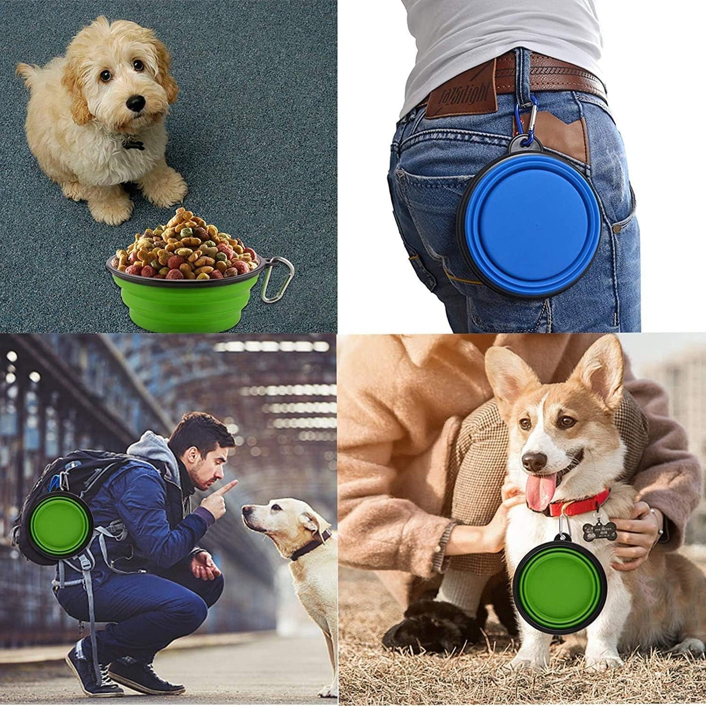 Large Collapsible Dog Bowls, 34Oz Travel Water Food Bowls Portable Foldable Collapse Dishes with Carabiner Clip, 2 Pack (Green+Red) - Funsho.store